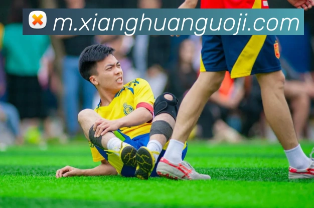 奖项证书